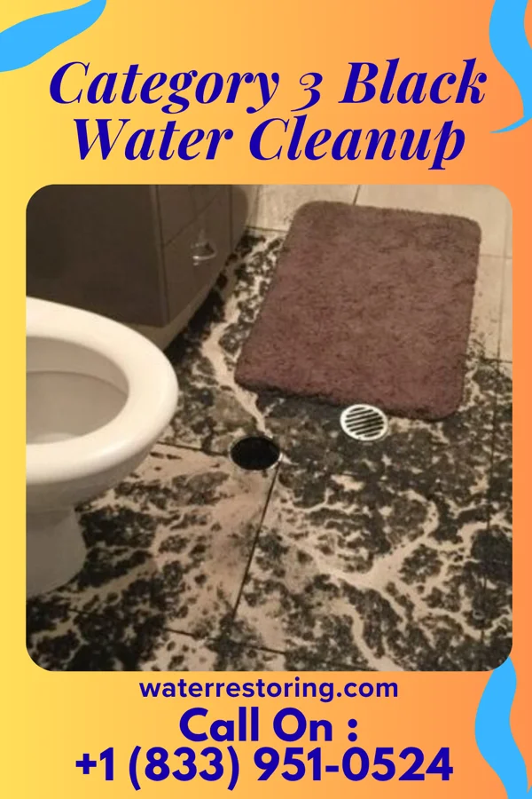 Category 3 Black Water Cleanup in South Ilion, NY
