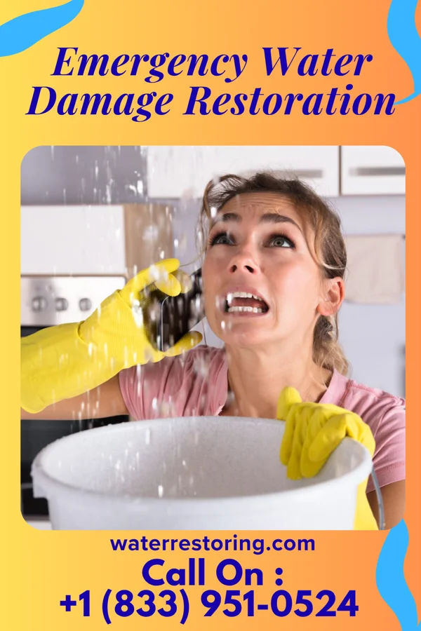 Emergency Water Damage Restoration in South Ilion, NY