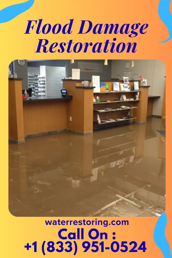 Flood Damage Restoration in South Ilion, NY