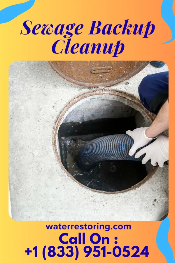 Sewage Backup Cleanup in South Ilion, NY
