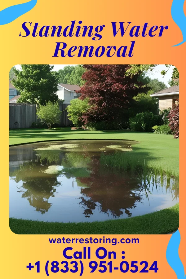 Standing Water Removal in South Ilion, NY